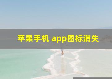 苹果手机 app图标消失